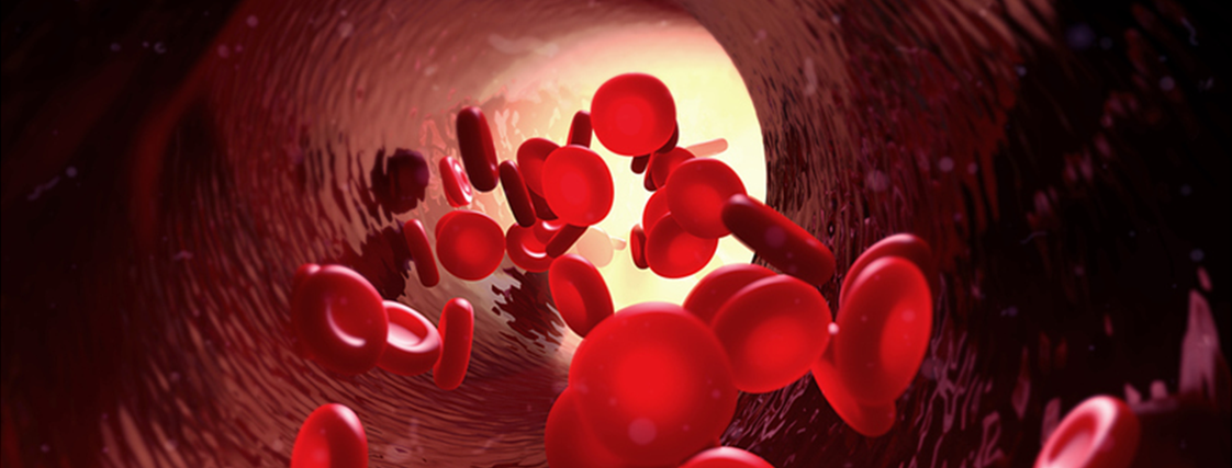 Journal Article Cites HemoVoid™ in Multi-Omics Analysis of Red Blood Cells in Thalassemia